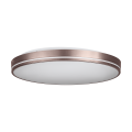 Lampa sufitowa OROTAVA 2x11W o okrągłej, płaskiej formie z jasnym kloszem i dekoracyjnym pierścieniem biegnącym wokół obudowy.