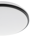 Zbliżenie lampy PINETTO ukazuje gładką białą obudowę, cienką ciemną linię przy krawędzi oraz zaokrągloną powierzchnię klosza.