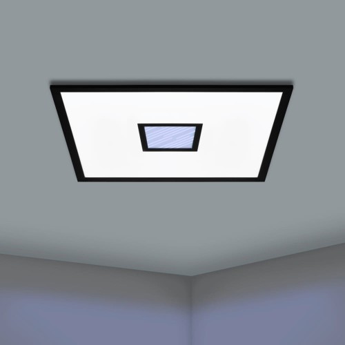 900572mn.jpg