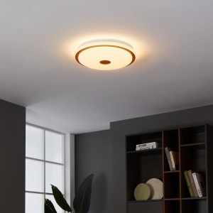 Lampa sufitowa Led LANCIANO 1 z pilotem 24W regulowana barwa 3000-4000-5000