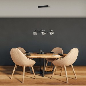 Lampa wisząca HORNWOOD 2 szklane czarny-transparentny E27