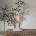 Żarówka LED filament E27 w małej lampie stołowej na drewnianym blacie, obok rośliny doniczkowej, przytulne oświetlenie wnętrza z ciepłym światłem.