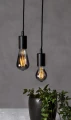 Designerskie lampy wiszące z przydymionymi żarówkami LED nad rośliną doniczkową na jasnym tle.