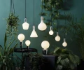 Dekoracyjne żarówki LED w aranżacji wnętrza z zielenią, różne formy i wielkości, ciepłe światło do salonu.