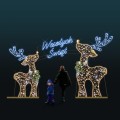 Iluminacja Brama z Jelonkami 2D – świetlna dekoracja w formie dwóch reniferów z bombkami i girlandami, napisem LED „Wesołych Świąt” i dwustronnym neonowym podświetleniem, idealna jako brama wejściowa na plac miejski.