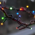 Kolorowe lampki choinkowe LED FLASHY owinięte wokół gałęzi drzewa, emitujące światło w barwach czerwonej, zielonej, niebieskiej i żółtej.