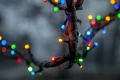 Kolorowe lampki choinkowe LED FLASHY owinięte wokół gałęzi drzewa, emitujące światło w barwach czerwonej, zielonej, niebieskiej i żółtej.