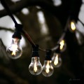 Girlanda ogrodowa z żarówkami LED A60 o mocy 2W z serii Clear Filament, emitującymi ciepłe białe światło o barwie 2700K. Żarówki zawieszone są na ciemnym przewodzie.