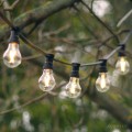 Girlanda ogrodowa z żarówkami LED A60 o mocy 2W z serii Clear Filament, emitującymi ciepłe białe światło o barwie 2700K. Żarówki zamontowane są w czarnych oprawkach, na czarnym przewodzie.