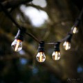 Girlanda ogrodowa z małymi żarówkami LED z serii Soft Glow G45 0,8W 2100K, zawieszona na czarnym przewodzie, widoczna na tle rozmytego krajobrazu z drzewami – idealna do dekoracji przestrzeni zewnętrznej.