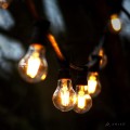 Girlanda ogrodowa z żarówkami A60 LED 2,3W 2100K Soft Glow zawieszona na czarnym przewodzie wśród drzew. Żarówki w przezroczystych bańkach emitują ciepłe, miękkie światło, tworząc nastrojową iluminację.