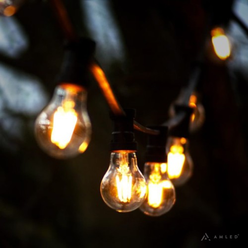 Girlanda ogrodowa z żarówkami A60 LED 2,3W 2100K Soft Glow zawieszona na czarnym przewodzie wśród drzew. Żarówki w przezroczystych bańkach emitują ciepłe, miękkie światło, tworząc nastrojową iluminację.