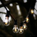 Girlanda ogrodowa z żarówkami LED z serii Soft Glow A60 0,5W 2100K, zawieszona na czarnym przewodzie, widoczna na tle rozmytego krajobrazu z drzewami – idealna do dekoracji przestrzeni zewnętrznej.