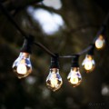 Girlanda ogrodowa z żarówkami LED TA60 o mocy 2,5W i barwie 2000K z serii Decoled Amber, zamontowanymi na czarnym przewodzie z czarnymi oprawkami, zawieszona wśród gałęzi drzew.