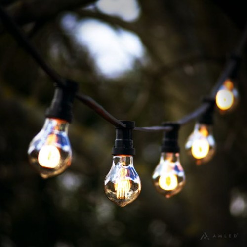 Girlanda ogrodowa z żarówkami LED TA60 o mocy 2,5W i barwie 2000K z serii Decoled Amber, zamontowanymi na czarnym przewodzie z czarnymi oprawkami, zawieszona wśród gałęzi drzew.