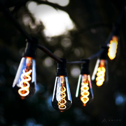 Girlanda ogrodowa z żarówkami LED ST64 2W Decoled Smoke o barwie 2100K. Przydymione szkło i spiralny żarnik tworzą nastrojowe światło. Żarówki zawieszone są na czarnym przewodzie na tle rozmytych drzew.