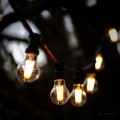 Girlanda ogrodowa z żarówkami LED A60 6,5W 2100K z funkcją 3-stopniowego ściemniania, zawieszona na tle drzew. Żarówki w przezroczystych bańkach świecą intensywnym, ciepłym światłem, tworząc przytulny klimat.