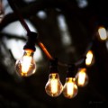 Girlanda ogrodowa z żarówkami LED A60 6,5W 2100K z funkcją 3-stopniowego ściemniania, zawieszona na tle drzew. Żarówki w przezroczystych bańkach świecą intensywnym, ciepłym światłem, tworząc przytulny klimat.