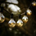 Girlanda ogrodowa z dekoracyjnymi żarówkami LED w bursztynowym szkle z serii PLAIN AMBER G80 0,75W. Żarówki emitują ciepłe światło i zawieszone są na czarnym przewodzie z czarnymi oprawkami – tworząc elegancki efekt w ogrodowej przestrzeni.