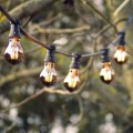 Girlanda ogrodowa z dekoracyjnymi żarówkami LED z serii Plain Smoke TA60 o mocy 2W, wykonanymi z przydymionego szkła. Żarówki emitują ciepłe, nastrojowe światło i zawieszone są na czarnym przewodzie z czarnymi oprawkami wśród drzew w plenerowej scenerii.