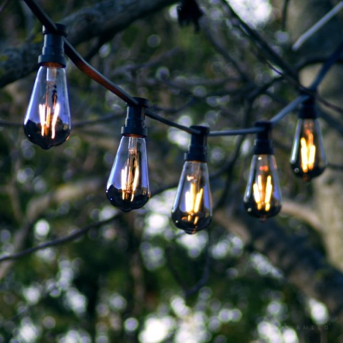 Girlanda ogrodowa z dekoracyjnymi żarówkami LED z serii Plain Smoke ST64 o mocy 1,8W, wykonanymi z przydymionego szkła. Żarówki emitują ciepłe, nastrojowe światło i zawieszone są na czarnym przewodzie wśród gałęzi drzew w plenerowej scenerii.