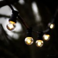 Girlanda ogrodowa z czarnym przewodem i plastikowymi kloszami żarówek LED G45 1,4W 2700K. Żarówki emitują ciepłe światło i są zawieszone wśród liści drzew, tworząc nastrojową dekorację ogrodową.