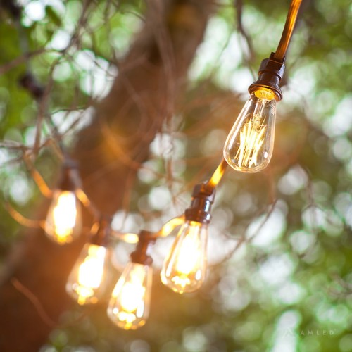 Girlanda ogrodowa z czarnym kablem i żarówkami LED ST64 4W 2200K w przezroczystych kloszach, zawieszona wśród gałęzi drzewa, świeci ciepłym, dekoracyjnym światłem.