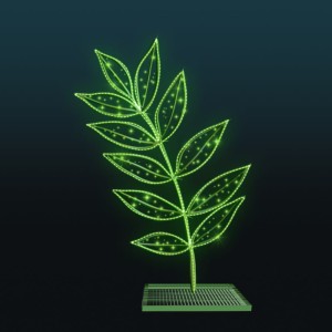 Iluminacja wolnostojąca LED Liść Akacji 2D 3,1m wysokości AM-127038