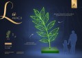 Liść akacji LED, dekoracyjna iluminacja inspirowana naturalną formą roślinną, przedstawiająca smukłą gałązkę z szeregiem podświetlanych listków o delikatnym, organicznym układzie. ID 127038.