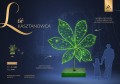 Liść kasztanowca LED, dekoracyjna iluminacja inspirowana charakterystyczną formą naturalnego liścia, złożona z kilku symetrycznie rozchodzących się segmentów świetlnych. ID 127037.