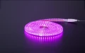 Wąż LED w kolorze różowym, świecący równomiernym światłem, ułożony w krąg na czarnym tle.