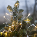 Lampki choinkowe LED o ciepłej barwie 3000K owinięte wokół gałązki świerku, delikatnie oświetlające igły w zimowym otoczeniu – dekoracja zewnętrzna o kablu transparentnym.