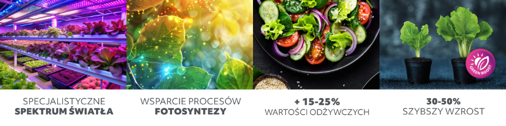 Infografika przedstawiająca zalety lamp do uprawy roślin: specjalistyczne spektrum światła LED, wsparcie procesów fotosyntezy, wzrost wartości odżywczych roślin o 15–25% oraz szybszy wzrost roślin o 30–50%.