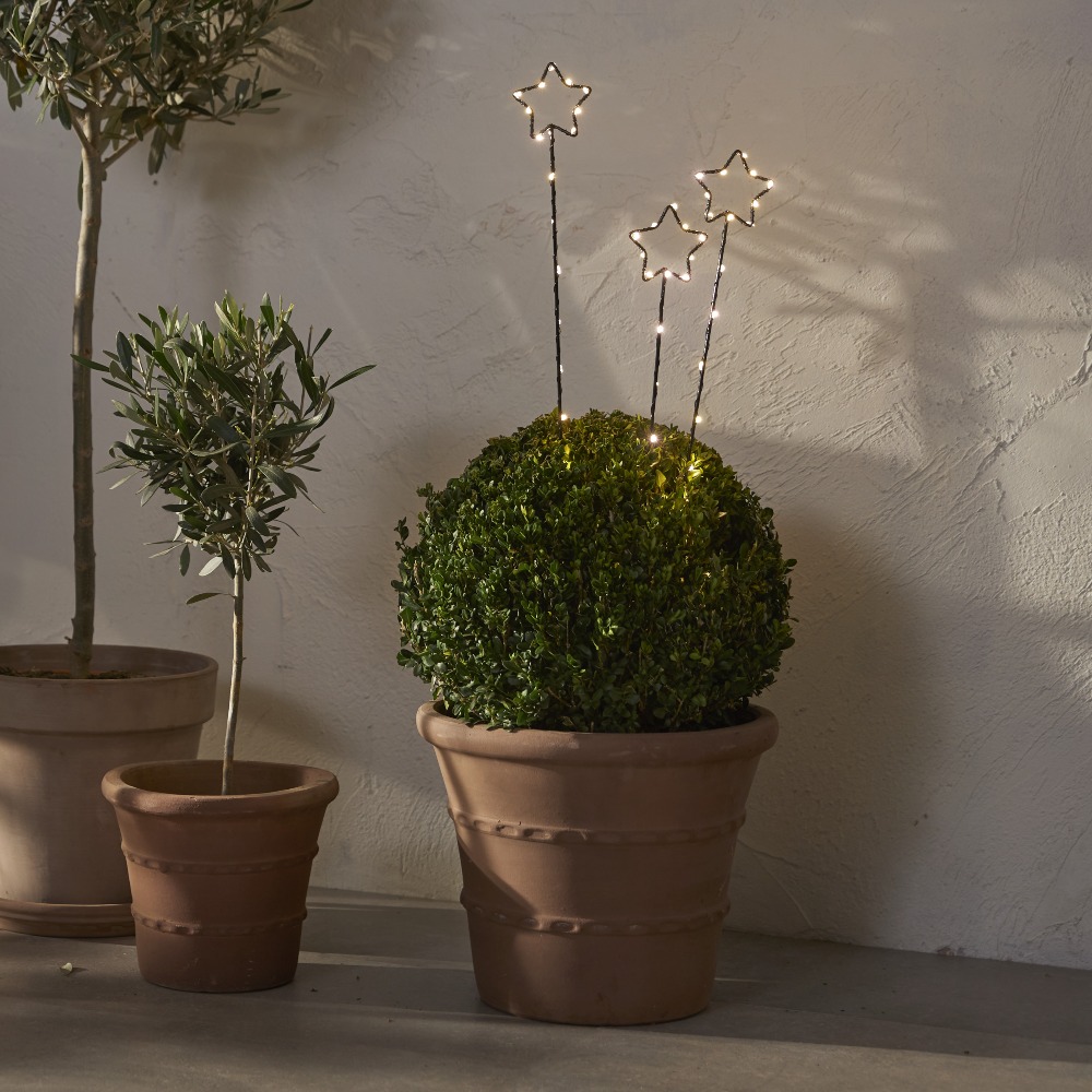 Świąteczna aranżacja z trzema dekoracjami LED w kształcie gwiazd na palikach ustawionymi w donicy w otoczeniu roślin ciepłe światło buduje spójny i przytulny efekt wizualny.