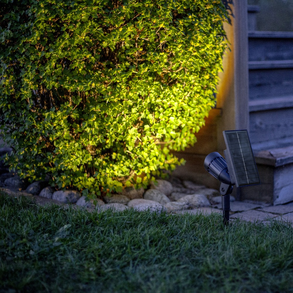 Reflektor solarny LED emitujący ciepłe białe światło, przeznaczony do punktowego oświetlenia roślin po zmroku.