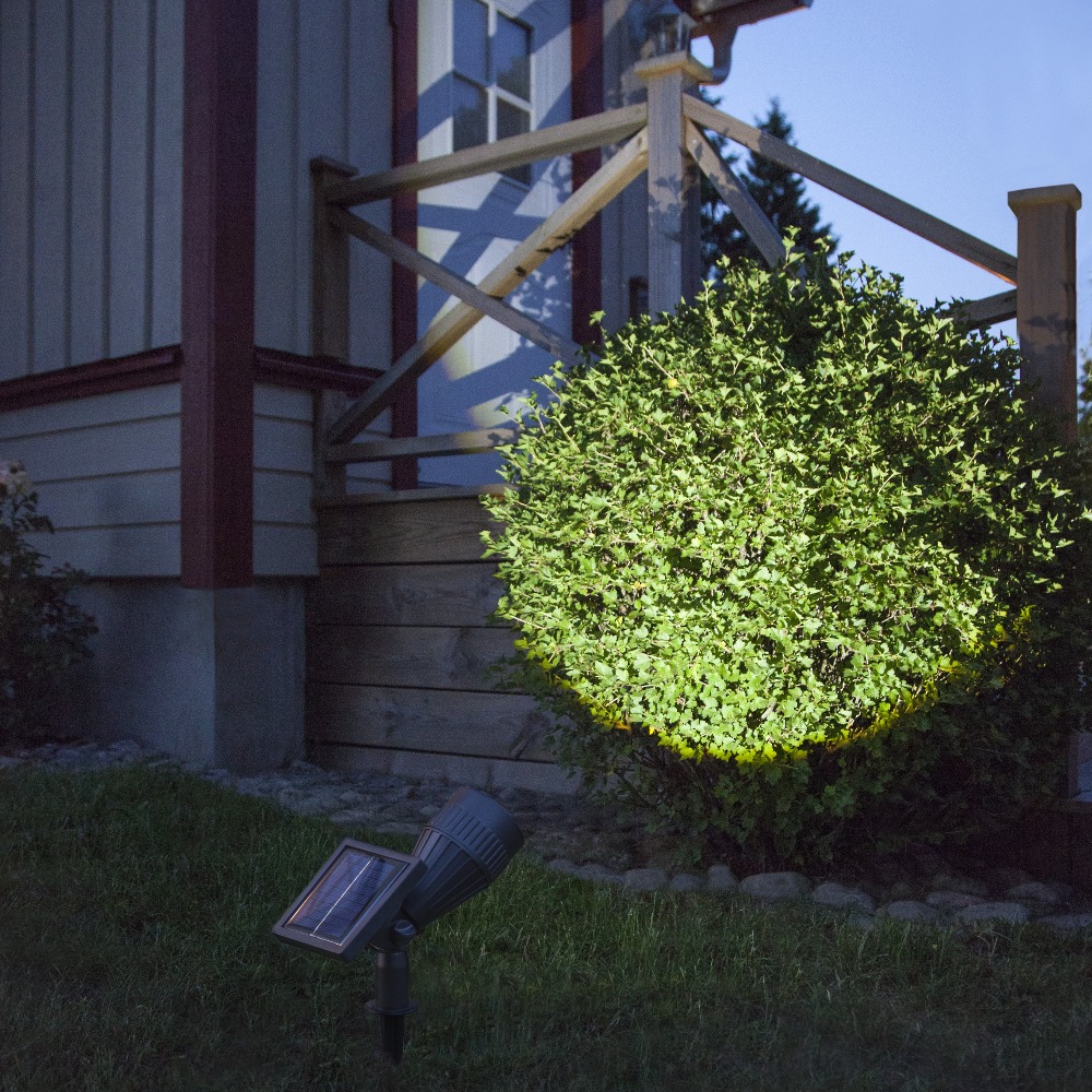 Solarny reflektor ogrodowy LED z czarną obudową i widocznym panelem solarnym, oświetlający krzew punktowym światłem.