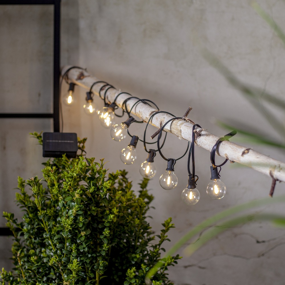 Solarna girlanda świetlna LED z dekoracyjnymi żarówkami w przezroczystych kloszach zawieszona na gałęzi nad roślinami. Oświetlenie solarne do ogrodu, na taras lub pergolę, z panelem słonecznym umieszczonym obok.