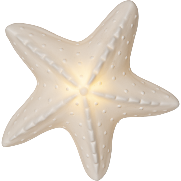 Dekoracyjna rozgwiazda LED z matowej białej porcelany na białym tle jako ozdoba do wnętrz emitująca ciepłe światło.