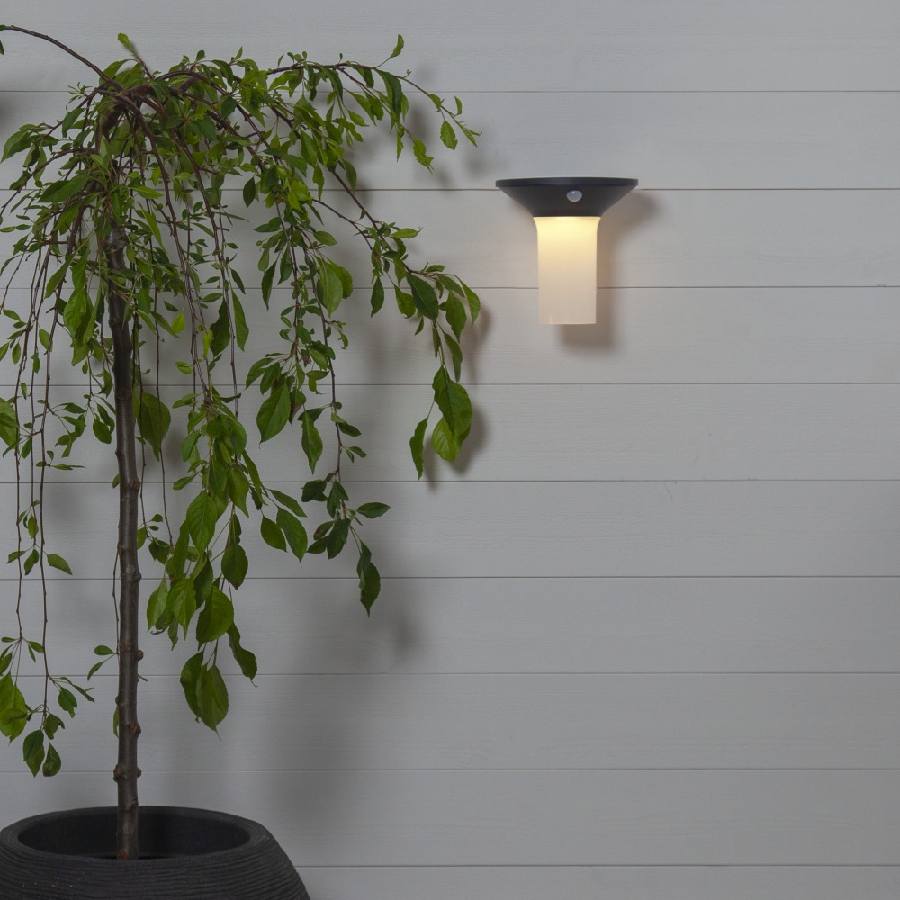 Kinkiet ogrodowy LED zamontowany na ścianie obok rośliny w donicy, zapewniający delikatne i funkcjonalne oświetlenie zewnętrzne.